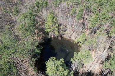 Lake Acreage For Sale in Marshall, Texas