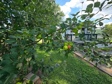 River life at its finest!!! This property is one of the largest - photo 27