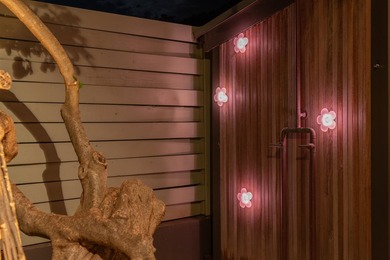 Some properties shout; this one whispers. Set discreetly behind - photo 46