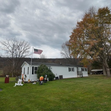 Lake Home For Sale in Campbell, New York