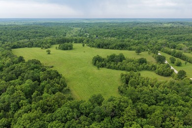 This is a really nice Benton county farm really close to Lake of - photo 2