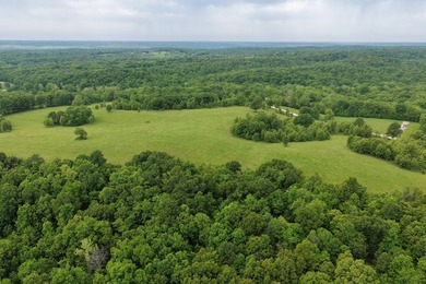 This is a really nice Benton county farm really close to Lake of - photo 4