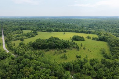 This is a really nice Benton county farm really close to Lake of - photo 7