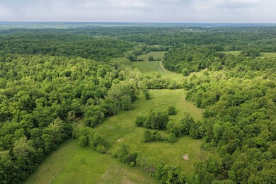This is a really nice Benton county farm really close to Lake of - photo 8