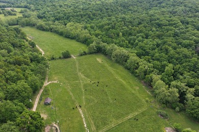 This is a really nice Benton county farm really close to Lake of - photo 9