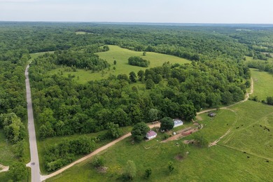 This is a really nice Benton county farm really close to Lake of - photo 10