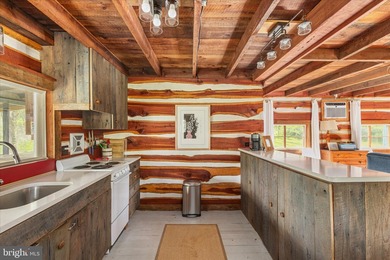 One-of-a-kind riverfront living, where the rhythm of the Cacapon - photo 14
