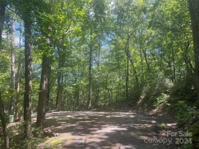 Lake Lot For Sale in Lake Lure, North Carolina