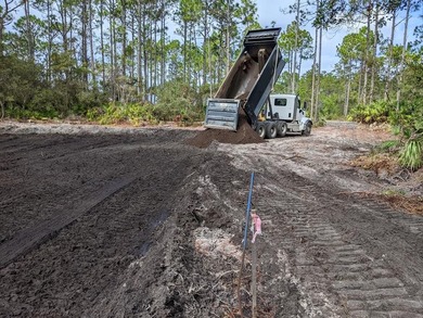 BUILD-READY 1.42 ACRE BAY LOT - FLOOD ZONE X - NO WETLANDS - photo 22