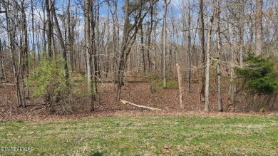 Lake Lot For Sale in Rockwood, Tennessee