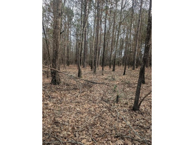 Lake Hawkins Acreage For Sale in Hawkins Texas