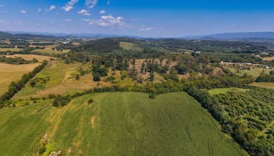 Lake Acreage For Sale in Timberville, Virginia