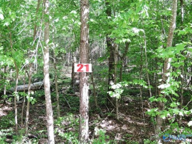 Lake Lot For Sale in Jasper, Alabama