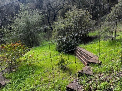Opportunity knocks! A 2 mile drive from the heart of Aptos - photo 11
