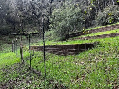 Opportunity knocks! A 2 mile drive from the heart of Aptos - photo 13