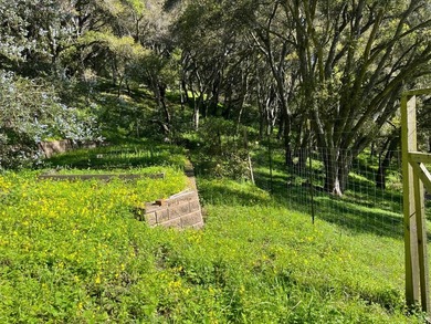 Opportunity knocks! A 2 mile drive from the heart of Aptos - photo 16