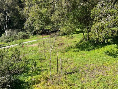 Opportunity knocks! A 2 mile drive from the heart of Aptos - photo 20
