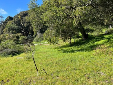 Opportunity knocks! A 2 mile drive from the heart of Aptos - photo 21