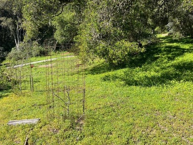 Opportunity knocks! A 2 mile drive from the heart of Aptos - photo 22