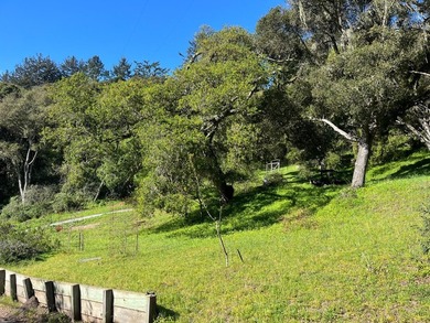 Opportunity knocks! A 2 mile drive from the heart of Aptos - photo 23