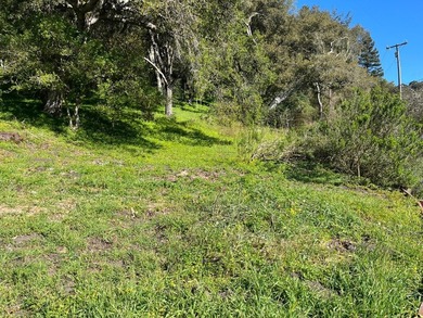 Opportunity knocks! A 2 mile drive from the heart of Aptos - photo 25