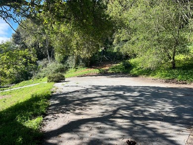 Opportunity knocks! A 2 mile drive from the heart of Aptos - photo 28