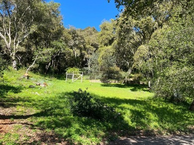 Opportunity knocks! A 2 mile drive from the heart of Aptos - photo 29