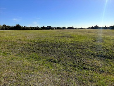 Come see this flat, clear easy to build lot in LaPaloma 1! - photo 3