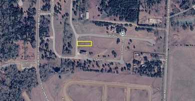 Come see this flat, clear easy to build lot in LaPaloma 1! - photo 5