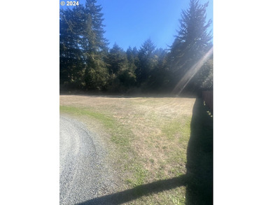 Here it is! A Private city lot is waiting for your new home - photo 2