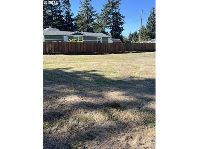 Here it is! A Private city lot is waiting for your new home - photo 3