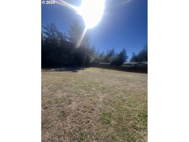 Here it is! A Private city lot is waiting for your new home - photo 4