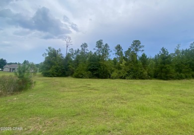 (private lake, pond, creek) Acreage For Sale in Marianna Florida