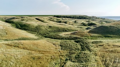 An incredible opportunity to own 313+/- acres of rugged - photo 4