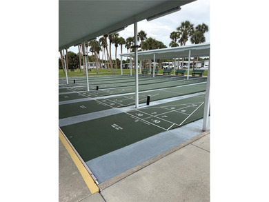Move-in condition! *X* Flood Zone! Pet Area - You can have pets - photo 34