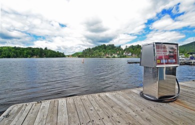 Lake Commercial For Sale in Saranac Lake, New York