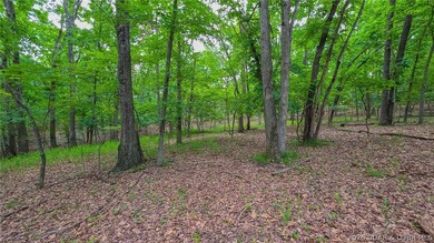 Embrace the perfect blend of natural tranquility and luxury - photo 11