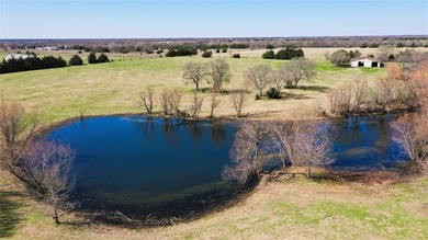 (private lake, pond, creek) Acreage For Sale in Leonard Texas