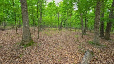 Embrace the perfect blend of natural tranquility and luxury - photo 12