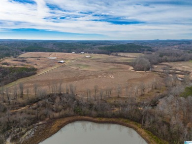 Rare find...Turn key farm, ready for livestock, in a great - Lake Acreage For Sale in Wedowee, Alabama