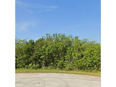 BUILD YOUR DREAM HOME IN THE COUNTRY! Nature abounds in this - photo 1