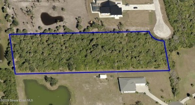 BUILD YOUR DREAM HOME IN THE COUNTRY! Nature abounds in this - photo 2