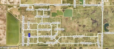 BUILD YOUR DREAM HOME IN THE COUNTRY! Nature abounds in this - photo 5