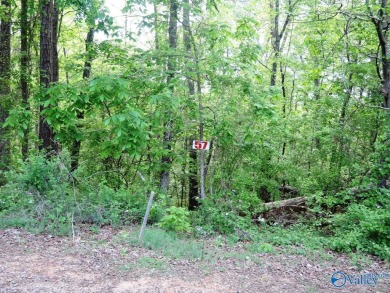 Lake Lot For Sale in Jasper, Alabama