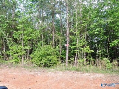 Lake Lot For Sale in Jasper, Alabama