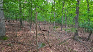 Embrace the elevation and build your dream lake-view retreat on - photo 11