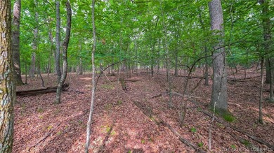 Embrace the elevation and build your dream lake-view retreat on - photo 12