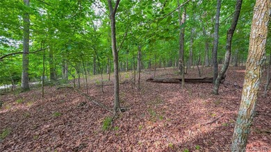 Embrace the elevation and build your dream lake-view retreat on - photo 13