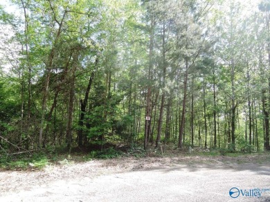 Lake Acreage For Sale in Jasper, Alabama