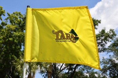 Bring Your Vision to This Villa in The Villas at Tara Golf & - photo 38